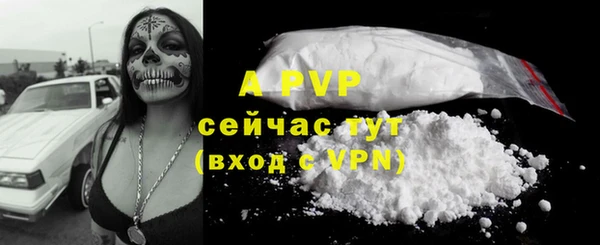 apvp Армянск