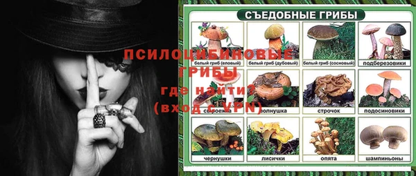 сатива Арсеньев