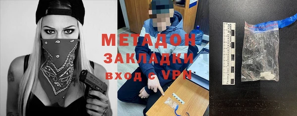 сатива Арсеньев